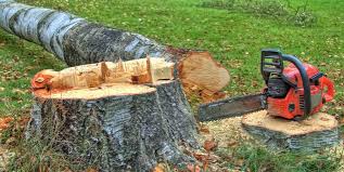 Best Arborist Consultation Services  in Eldorado, IL