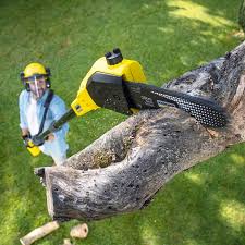 Best Soil Testing and Treatment  in Eldorado, IL