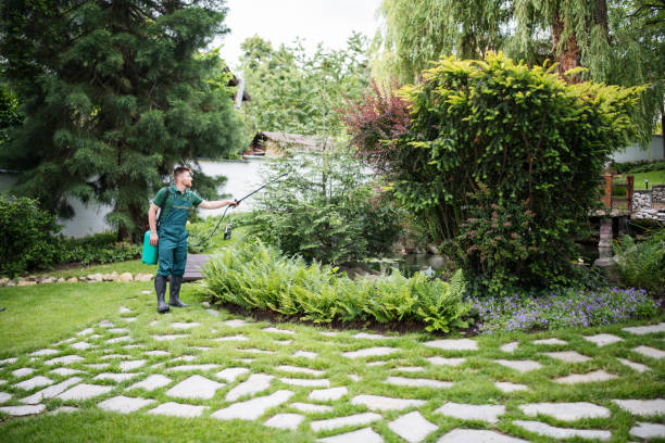 Best Lawn Mowing  in Eldorado, IL